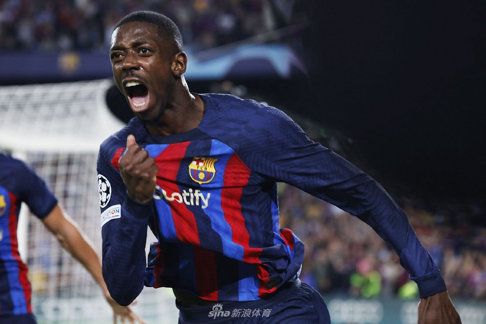 社会化影响 社会化影响